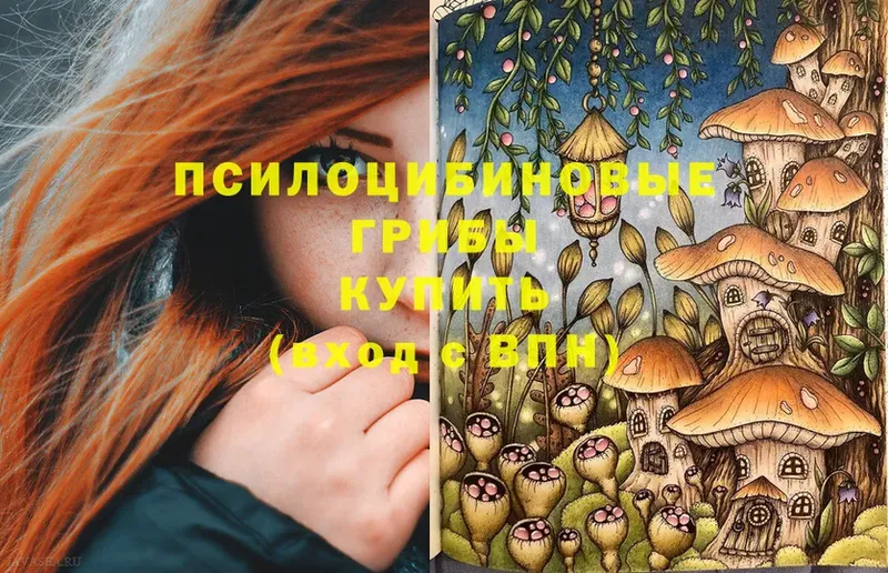 Галлюциногенные грибы Psilocybine cubensis Гороховец